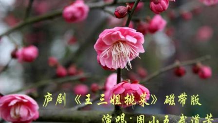 庐剧《王三姐挑菜》磁带版