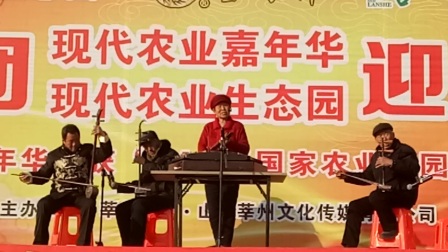 山东琴书高清