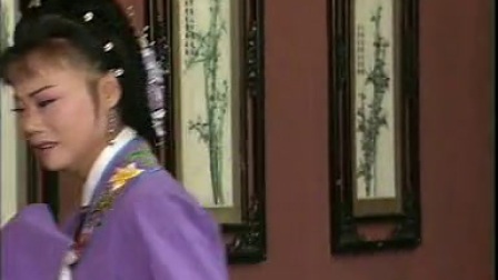 庐剧《火烧莲花庵》剪辑版 2