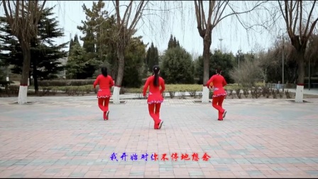 广场舞《草原情缘》正反面附口令分解教学