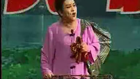 孙文学 李桂艳二人转《刘翠萍哭井》下载