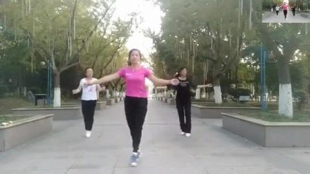 高清山西广场舞《原香草》鬼步舞教学版