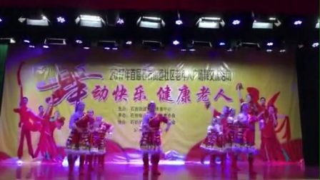2017老年人广场舞下载