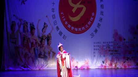 黄梅戏选段《昭君出塞》