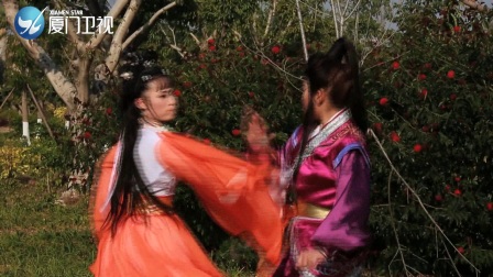 歌仔戲《多情人間》第九集 《多情人間》