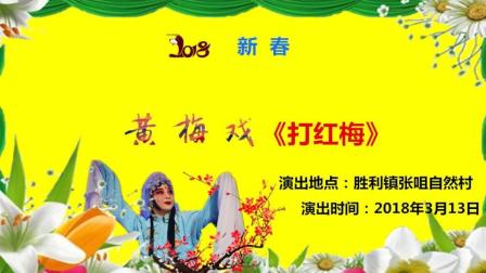黄梅戏《打红梅》