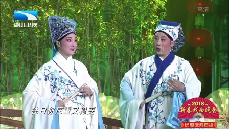 黄梅戏《梁祝 十八相送》杨俊 詹春尧下载