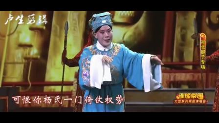 璀璨梨园 大型系列戏曲演唱会
