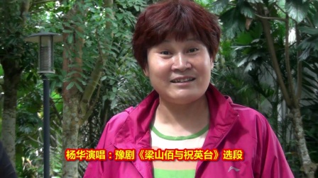 豫剧《梁山佰与祝英台》选段 杨华高清版