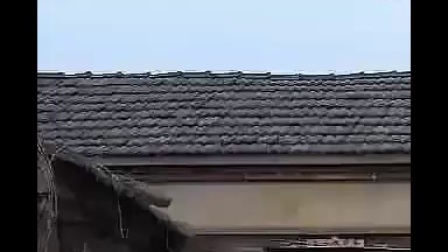 民间小调  《 闺女拜堂娘闹洞房》 全集 刘