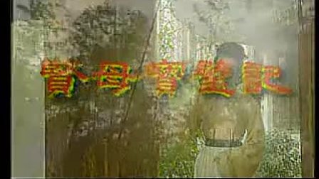 《贤母宝璧记》全集