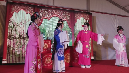 锡剧 喜剧《王老虎抢亲》第六场