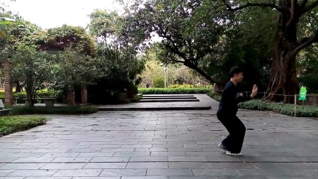 陈式太极拳83式