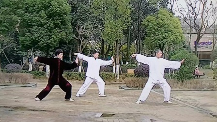 杨氏传统太极115式 高清版