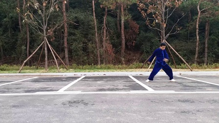 陈式心意混元太极拳48式
