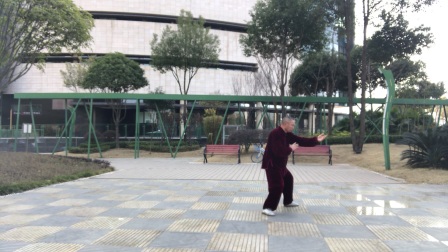 杨氏太极拳 高清版