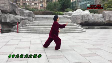 开心晨练85式杨式太极拳 高清版