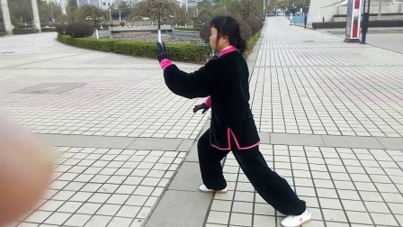 85式杨氏太极拳 高清版