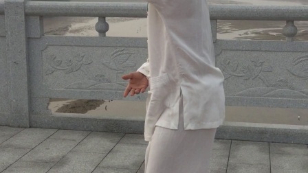太极拳 高清版