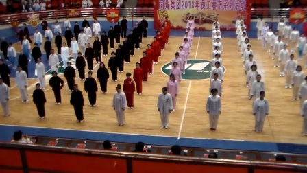 24式太极拳 养生太极掌 高清版