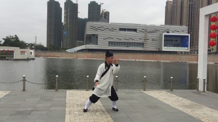 武当太极拳108式 高清版