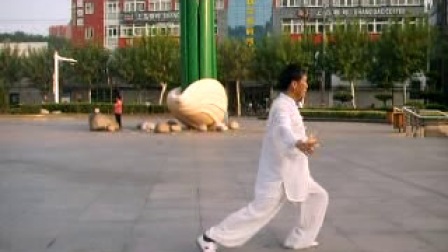 师傅85式 杨式太极拳 精彩演艺