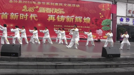 韩清明太极拳 高清版