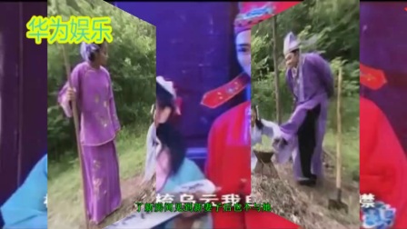 黄梅戏《九岁孤儿》下