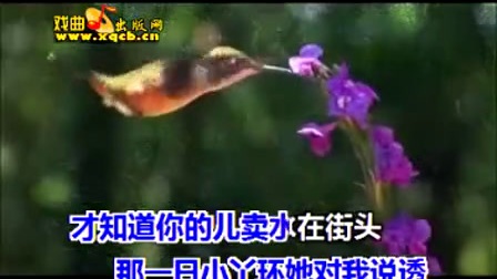 豫剧《婆母娘且息怒站在路口》伴奏高清字幕