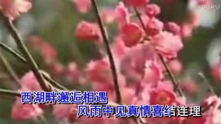 豫剧《新白蛇传》 伴奏高清版