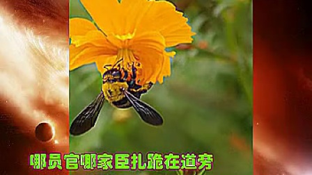 《打銮驾》全场伴奏  字幕版