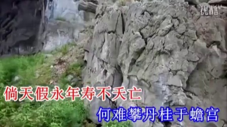 豫剧秦雪梅哭灵 高清字幕版