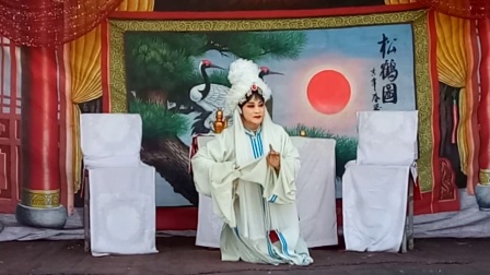 豫剧<下南京>张云海