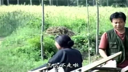 民间小调<缺德女婿活埋母>全场