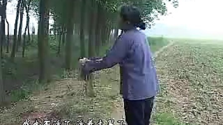 曲剧《刘英哭坟》全场