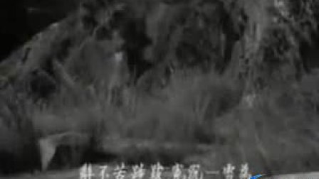 电影版 潮剧《四告状》下载