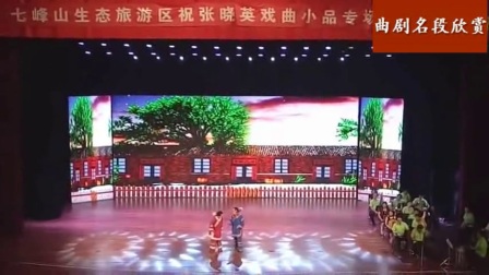 《小品》张晓英小品