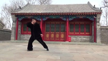 陈式太极拳老架一路74式 高清版