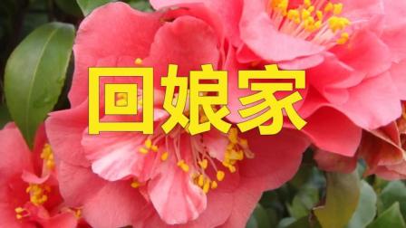 民间小调《回娘家》朱明瑛 黄梅戏
