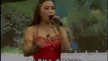 东北二人转 淫生怪招