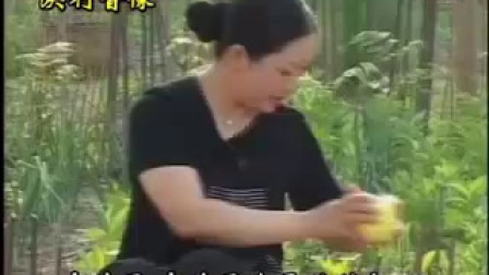 民间小调《王老八卖瓜》第二集   刘晓燕