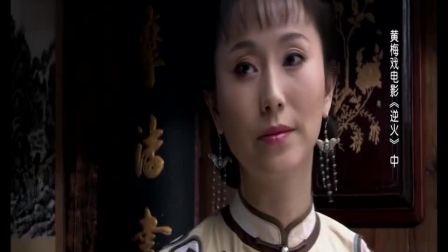 黄梅戏电影《逆火》下载