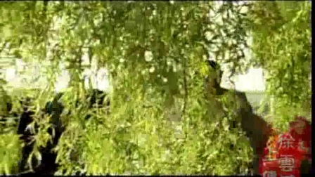 二人转短剧《 弄假成真》下载