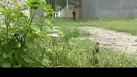 民间小调 <刘瘸子耍猴>