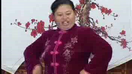 河南坠子《一百零八俠》02 韩淑英