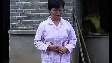 民间小调《搬来煞子打老婆》全集