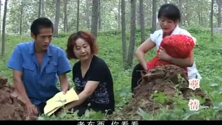 民间小调<孽情>12