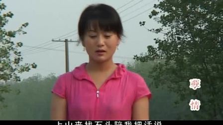 民间小调<孽情>07