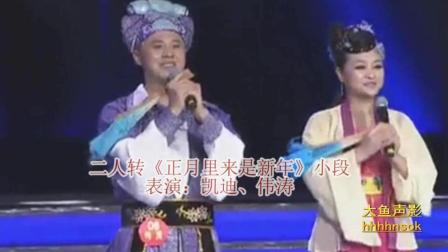 二人转《正月里来是新年》小段  凯迪 伟涛下载