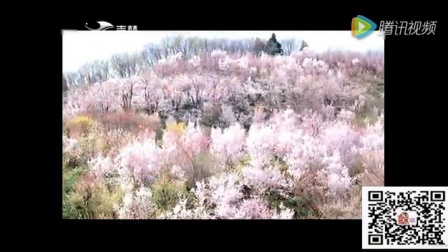 《二十四节气》闫学晶二人转